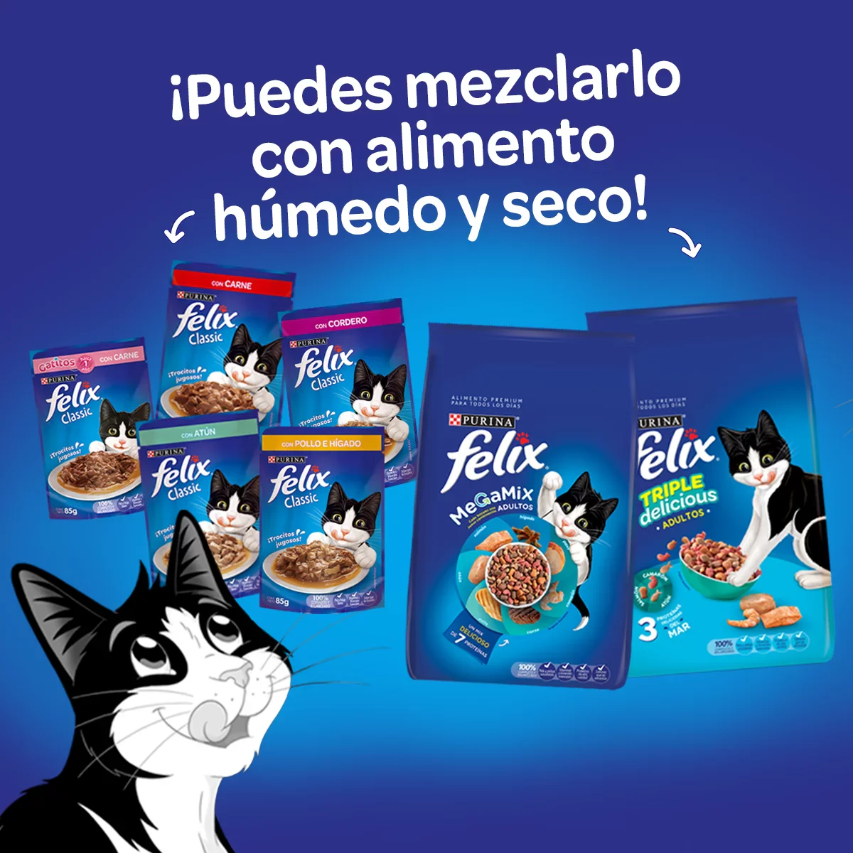 Comida Húmeda Para Gatos Felix Salmón En Salsa x 85 Gr - Image 6