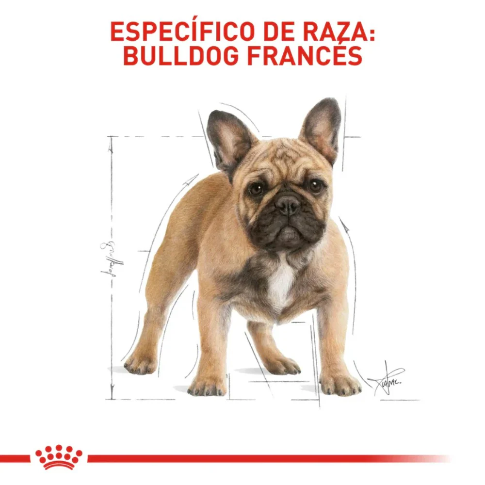 Comida Para Perro Royal Canin Bhn  Bulldog Frances Adulto x 3 Kg - Image 4