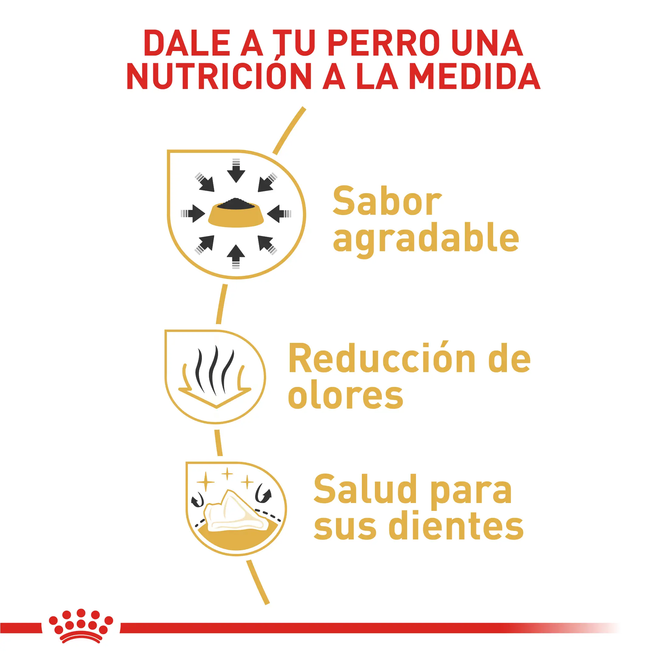 Comida Para Perro Royal Canin Bhn Chihuahua Adulto x 1.13 Kg - Image 3