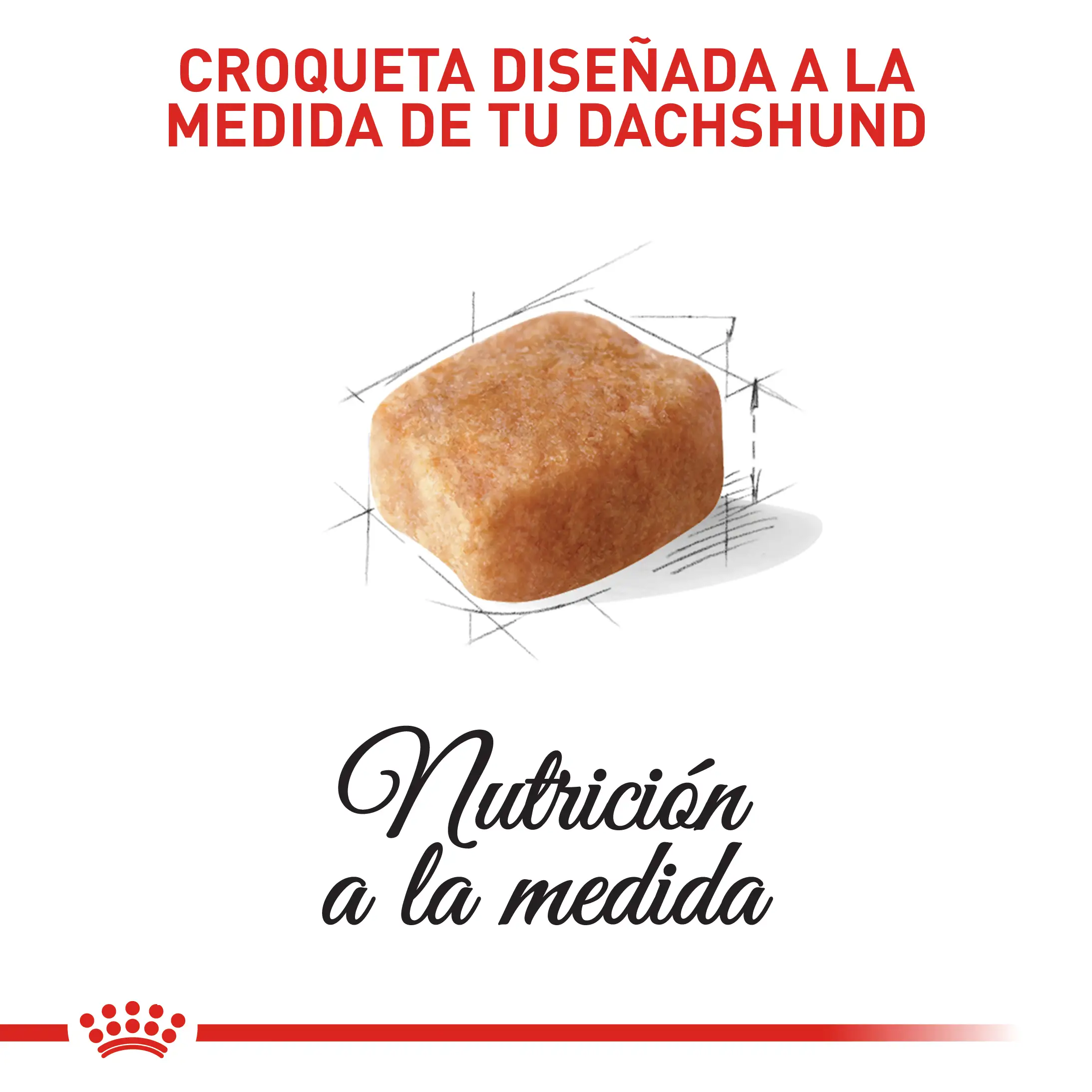 Comida Para Perro Royal Canin Bhn Dachshund Adulto x 1.5 Kg - Image 3
