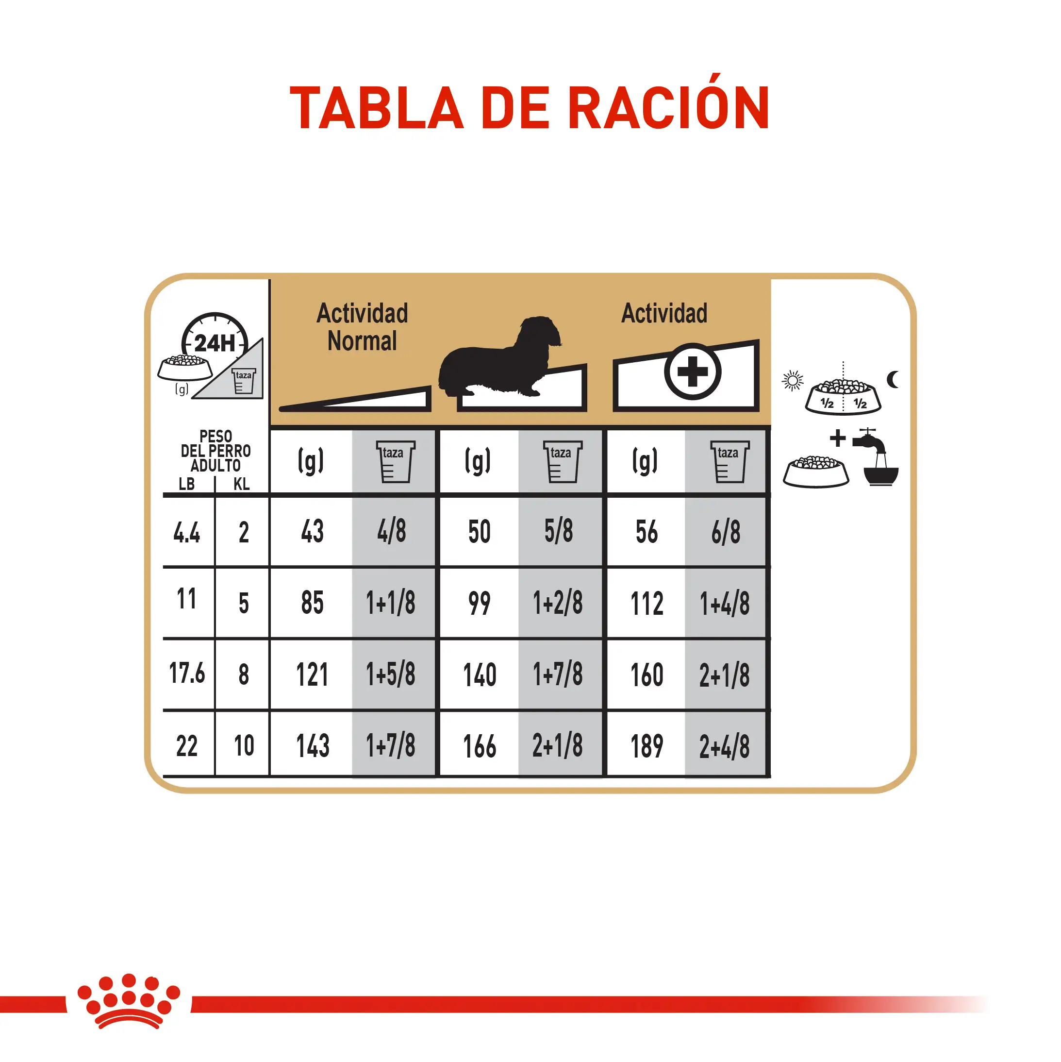 Comida Para Perro Royal Canin Bhn Dachshund Adulto x 1.5 Kg - Image 5