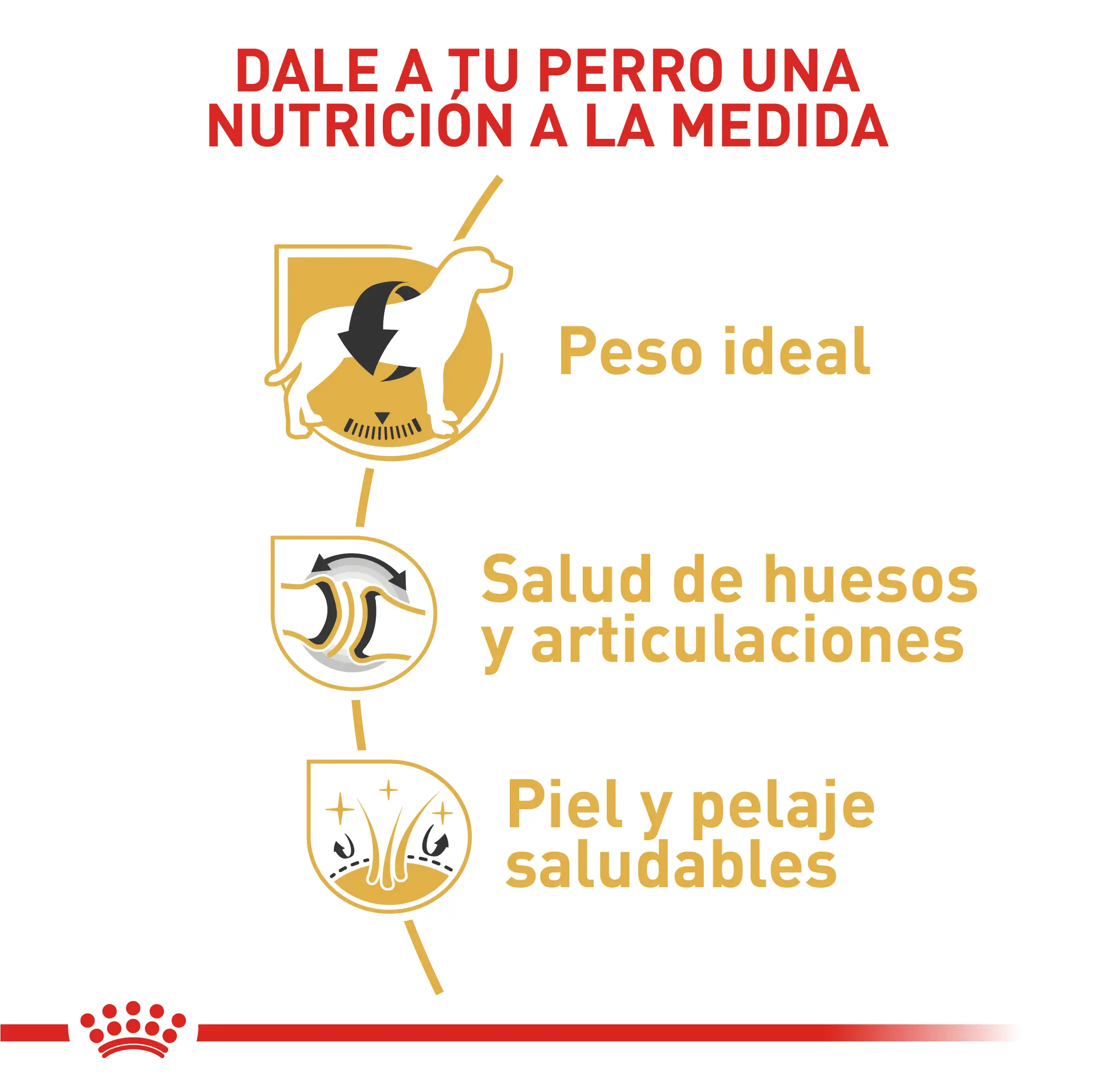 Comida Para Perro Royal Canin Bhn Labrador Adulto 13.6 Kg - Image 5