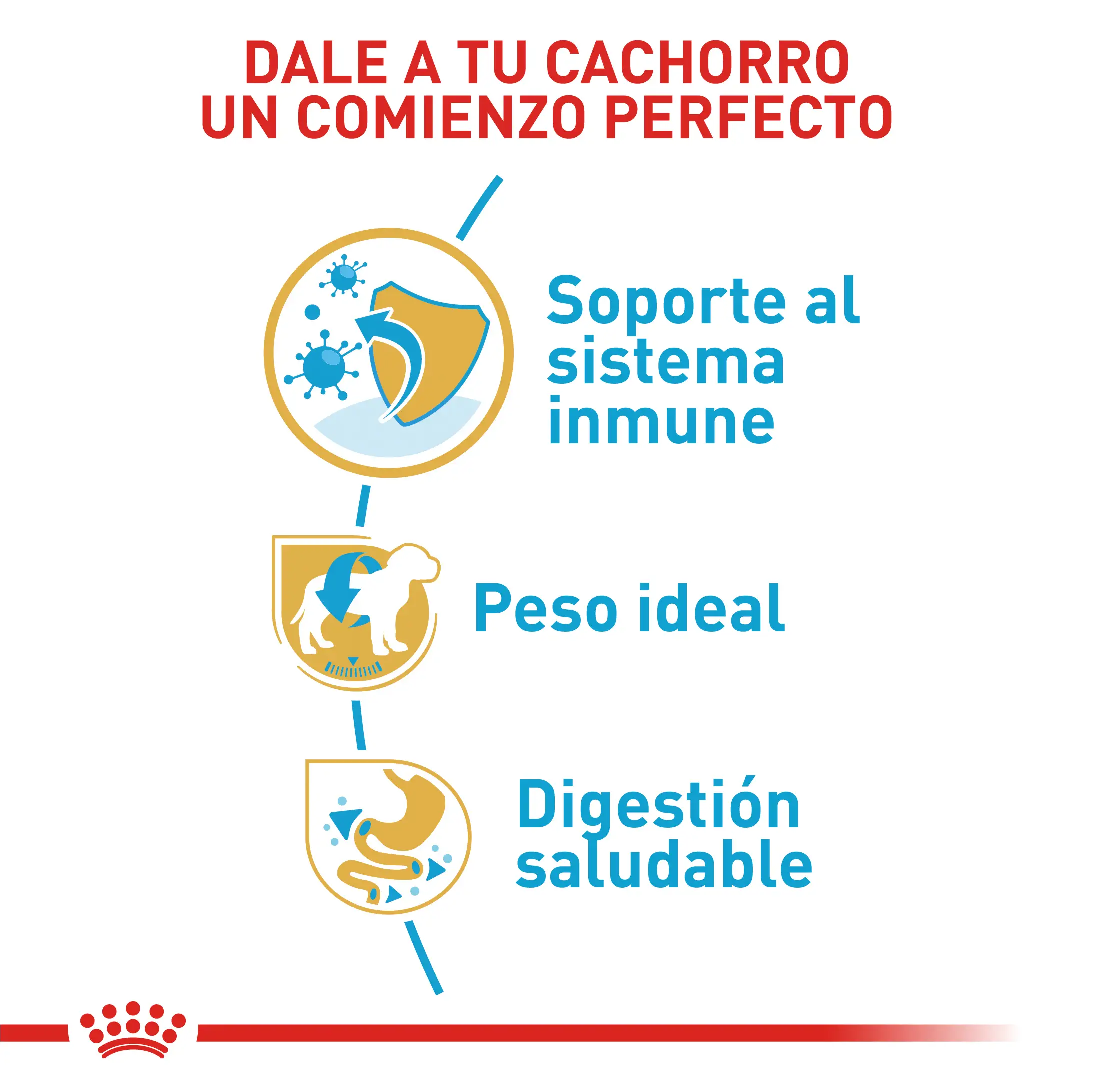 Comida Para Perro Royal Canin Bhn Mini Schnauzer Puppy x 1.13 Kg - Image 3