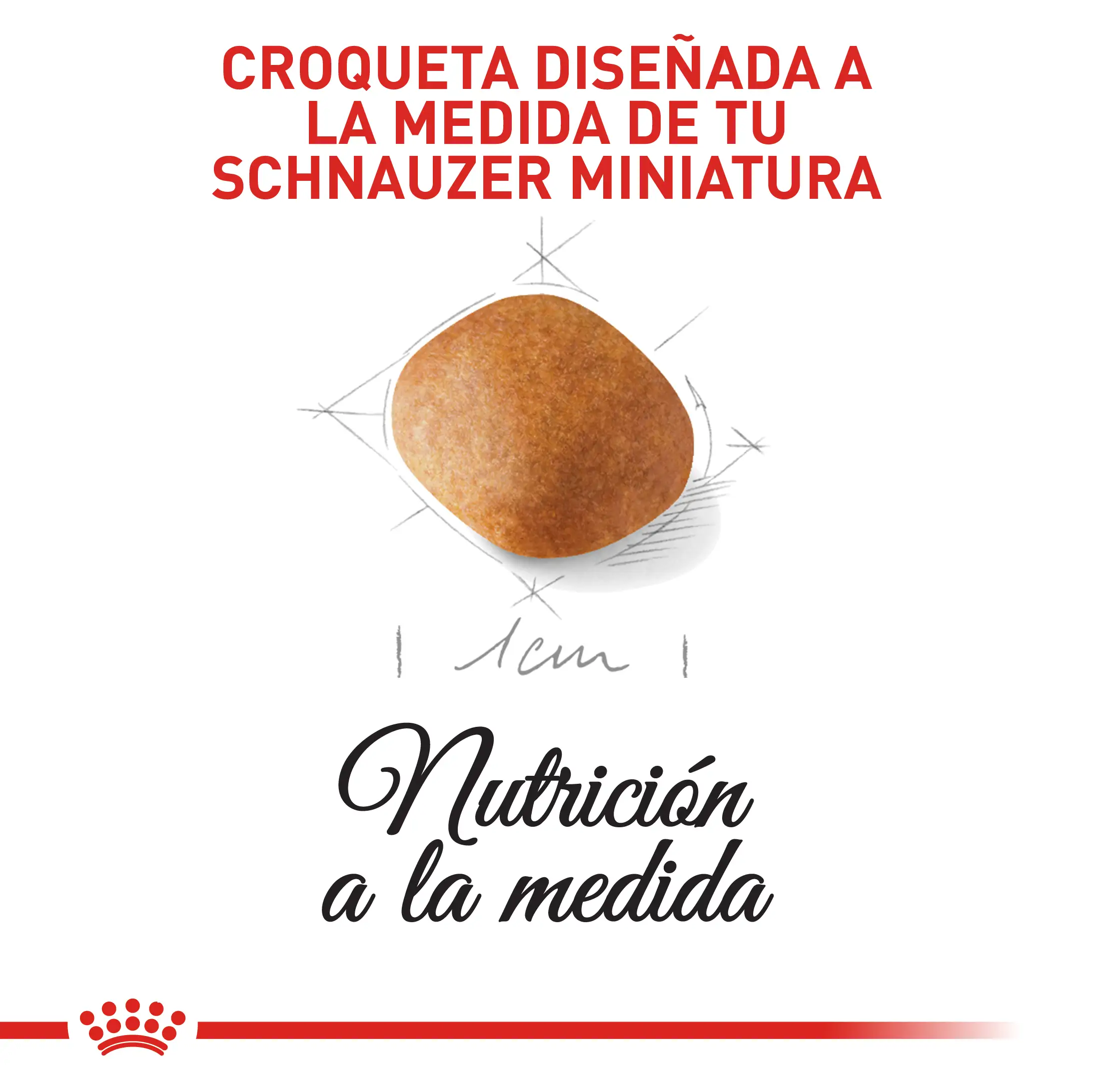 Comida Para Perro Royal Canin Bhn Mini Schnauzer Puppy x 1.13 Kg - Image 4