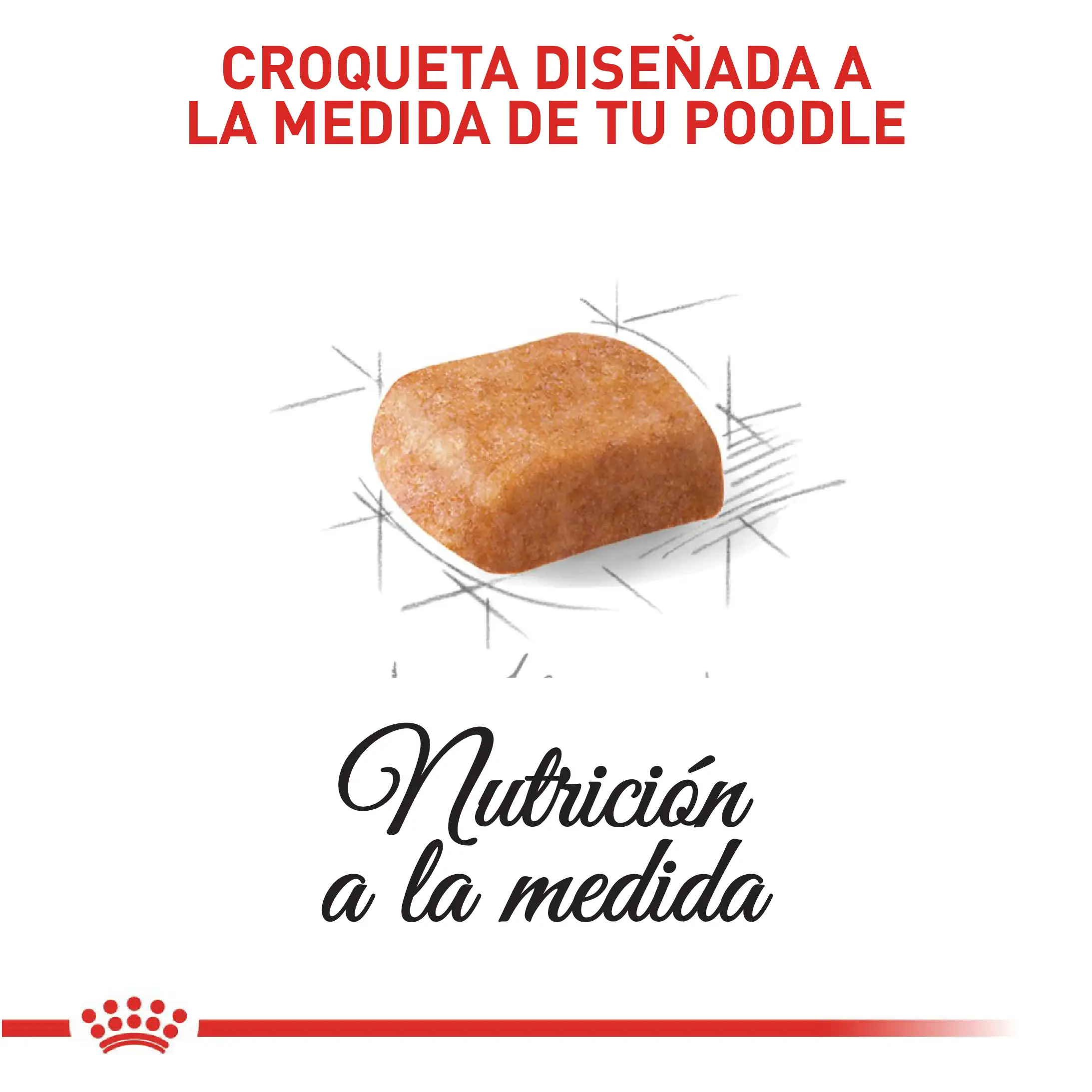 Comida Para Perro Royal Canin Bhn Poodle Puppy x 3 Kg - Image 3