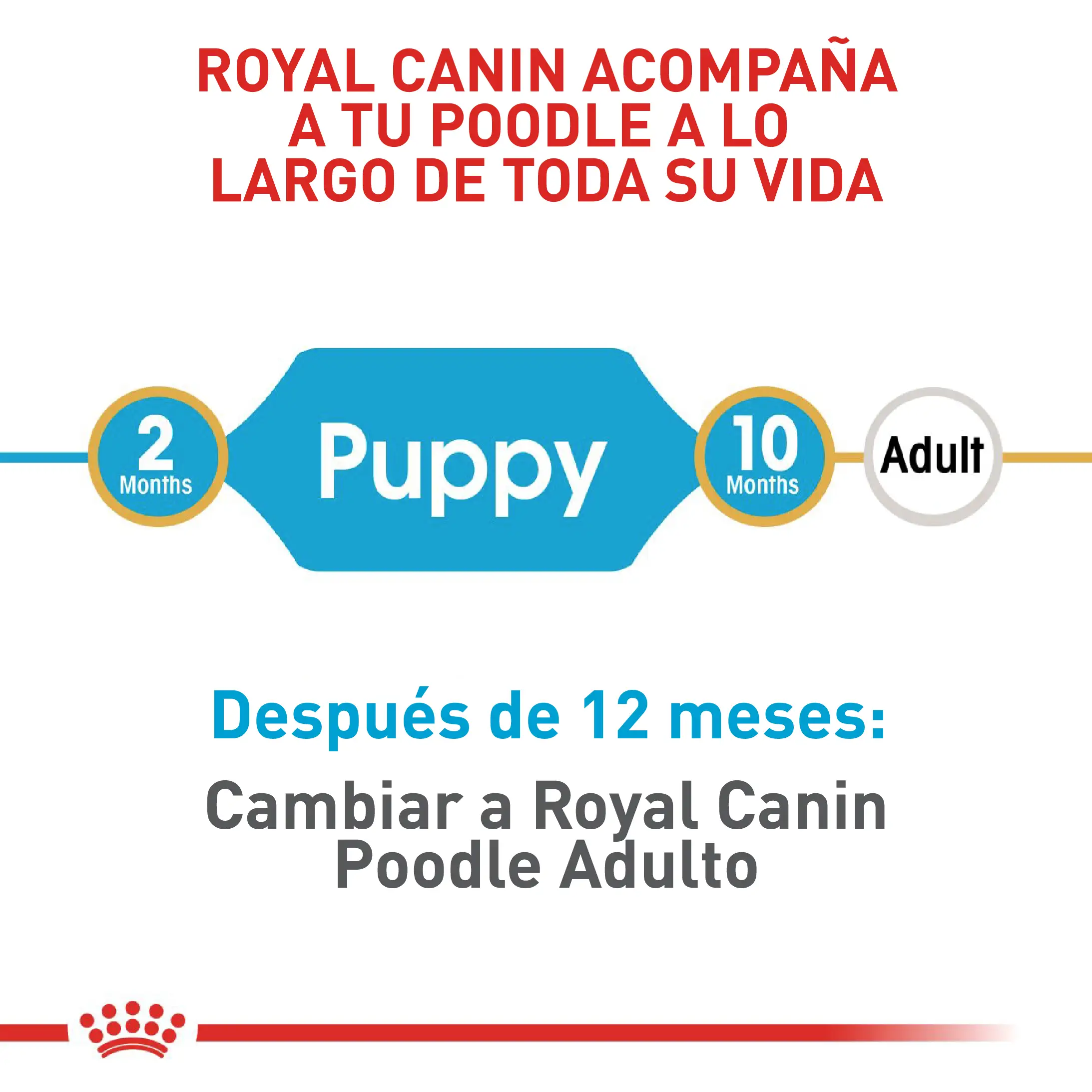 Comida Para Perro Royal Canin Bhn Poodle Puppy x 3 Kg - Image 5