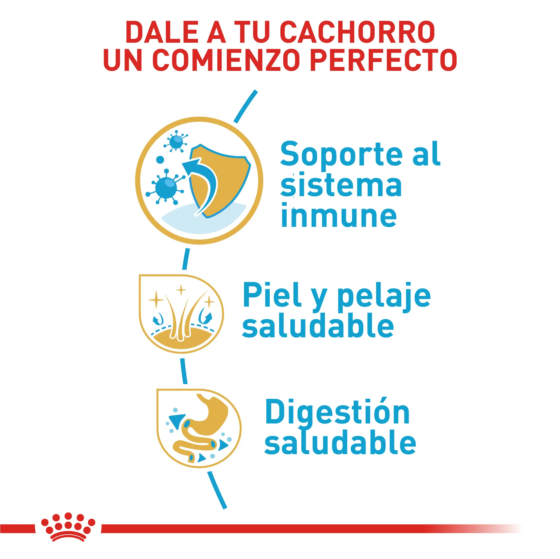 Comida Para perro Royal Canin Bhn Shih Tzu Puppy 1.5 Kg - Image 6