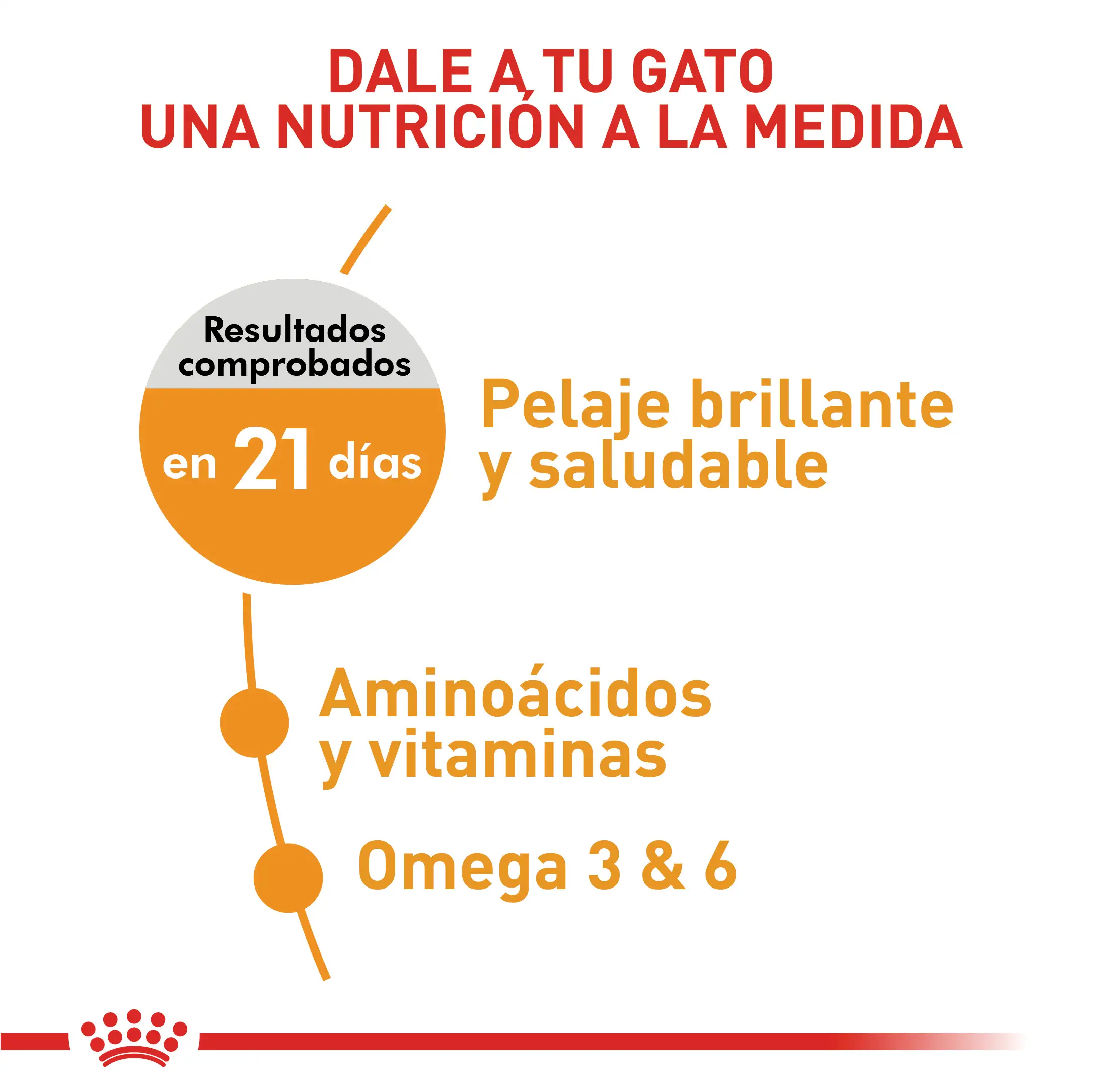 Alimento Royal Canin Fcn Hair And Skin Care 2 Kg - Image 2