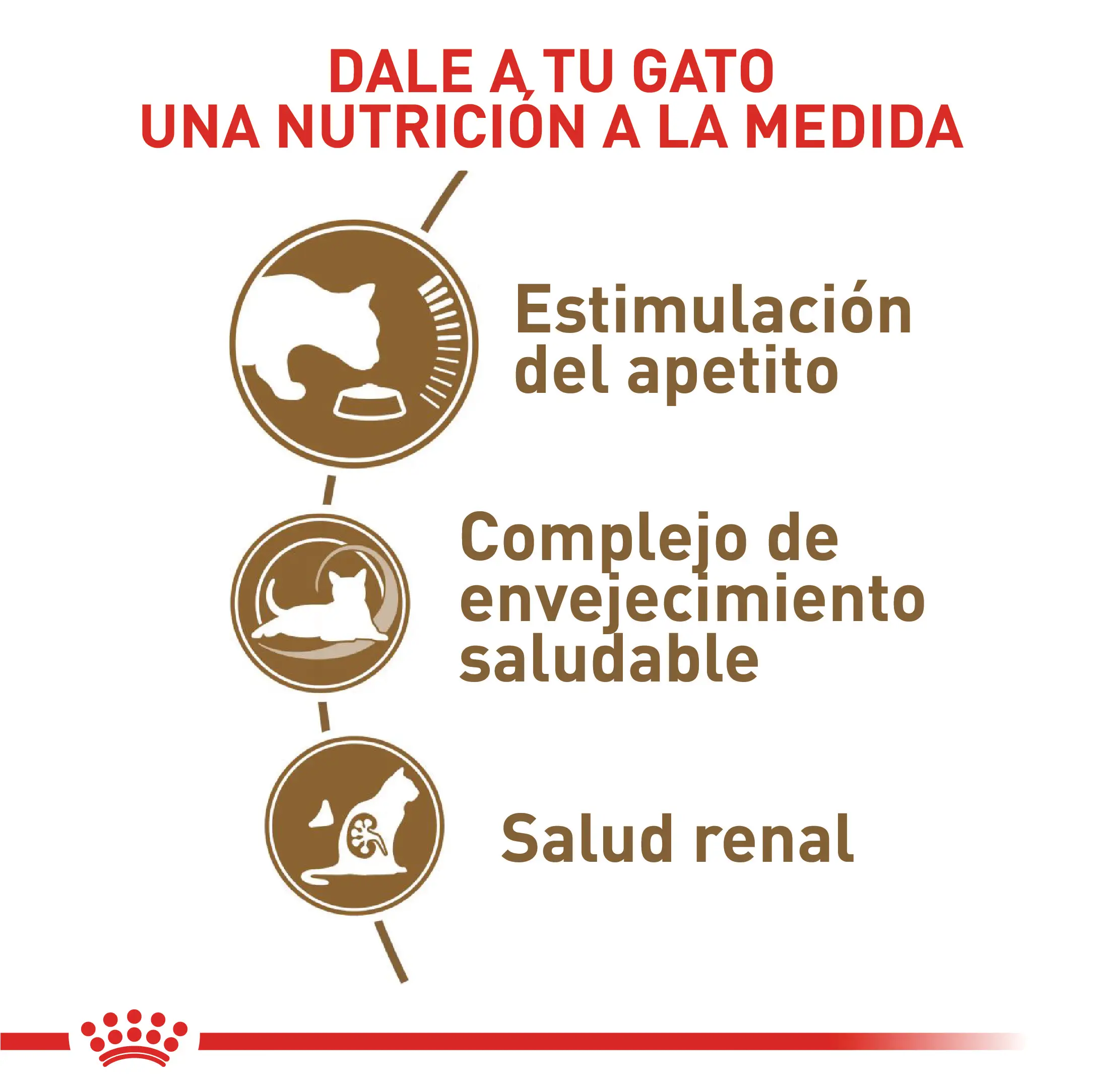 Comida Para Gato Royal Canin Fhn Ageing 12+ 2Kg - Image 2