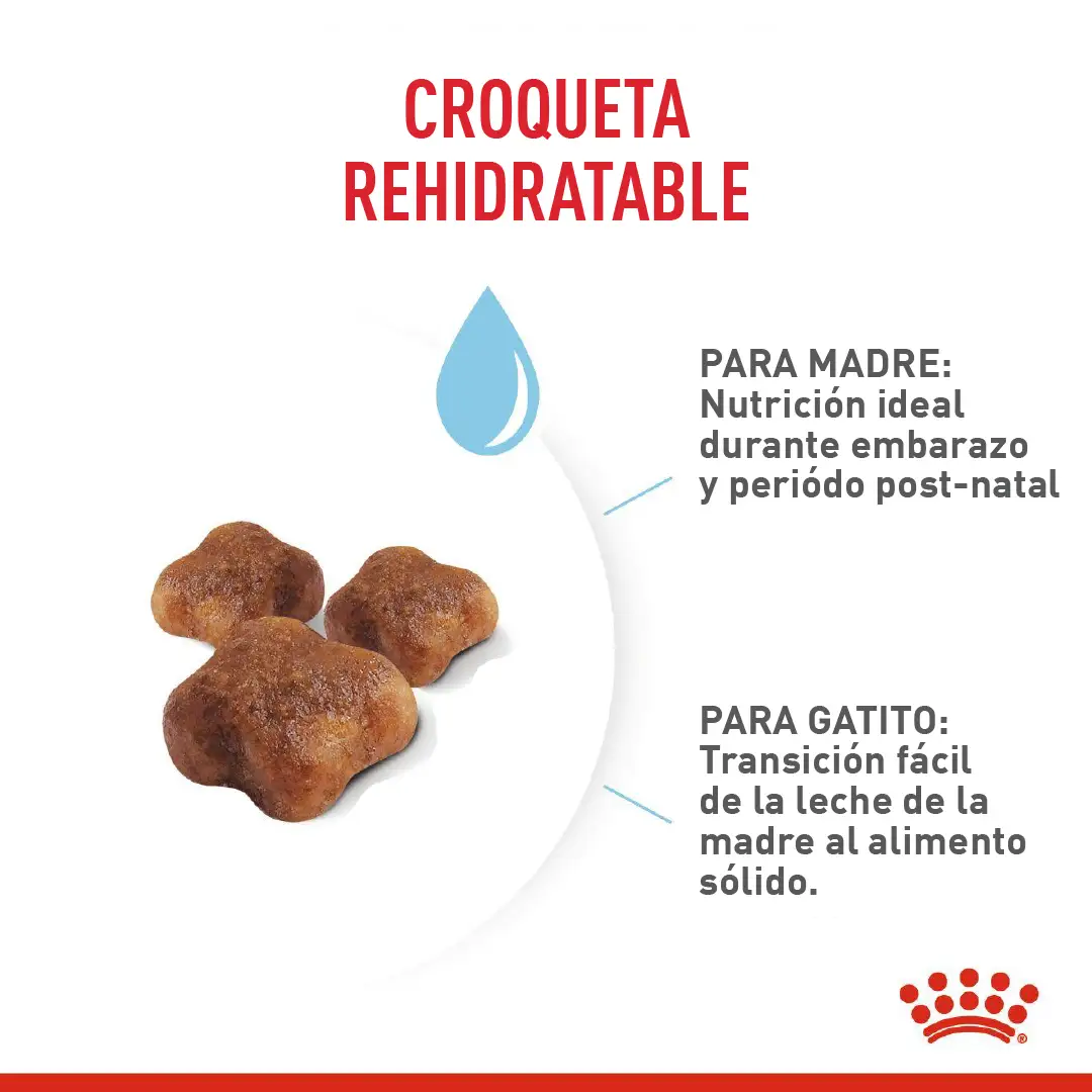 Comida Para Gato Royal Canin Fhn Mother&Babycat - Image 2