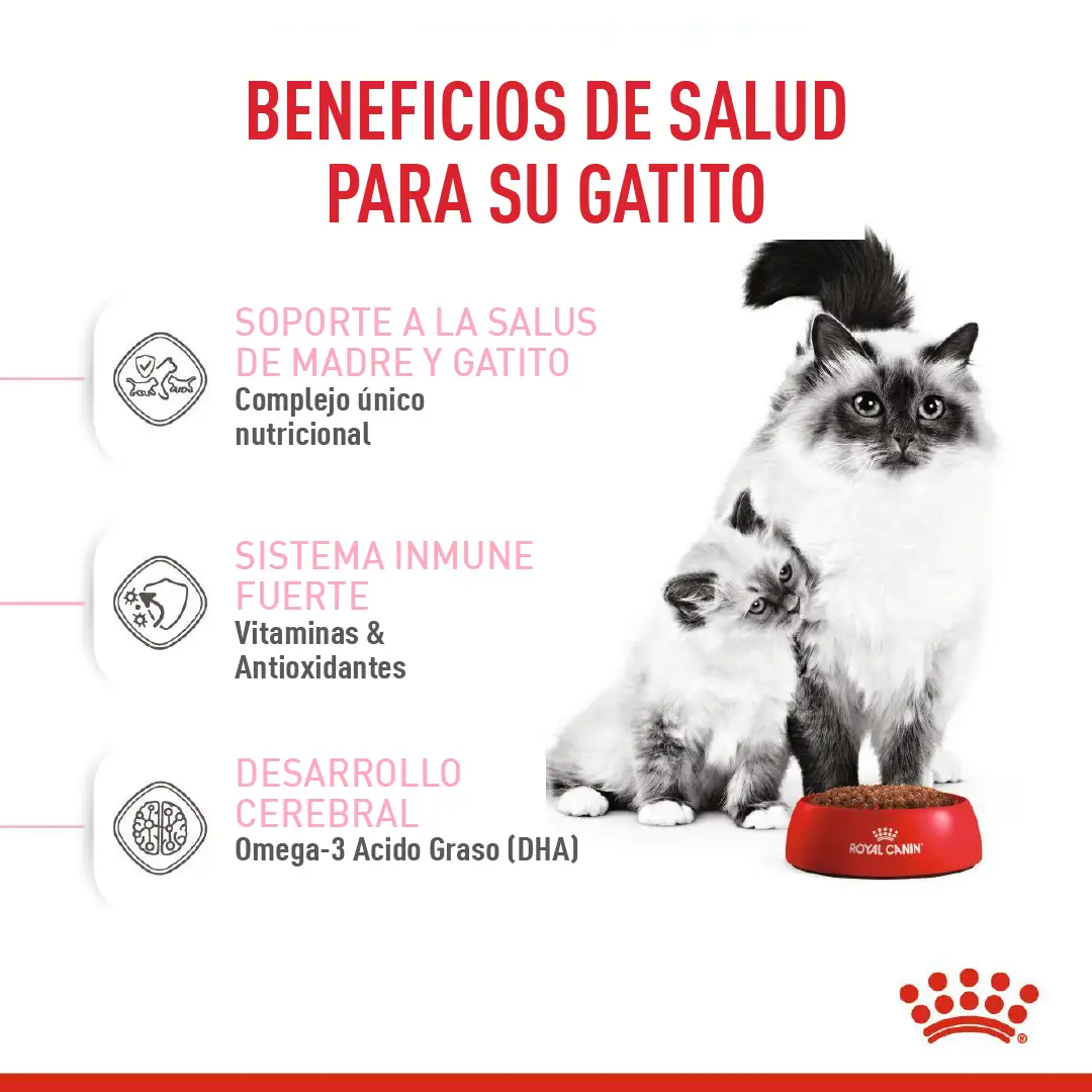 Comida Para Gato Royal Canin Fhn Mother&Babycat - Image 3