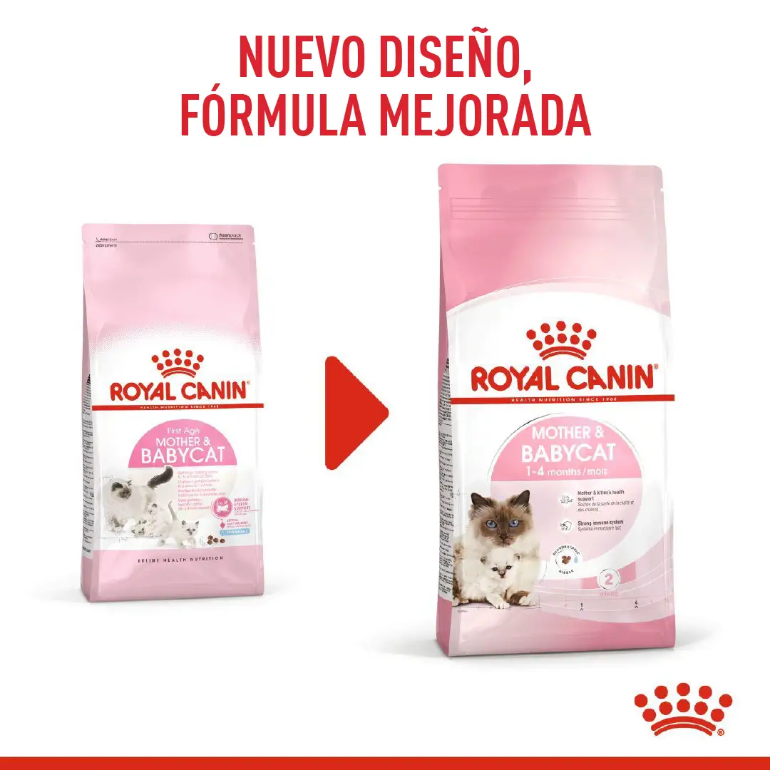 Comida Para Gato Royal Canin Fhn Mother&Babycat - Image 6