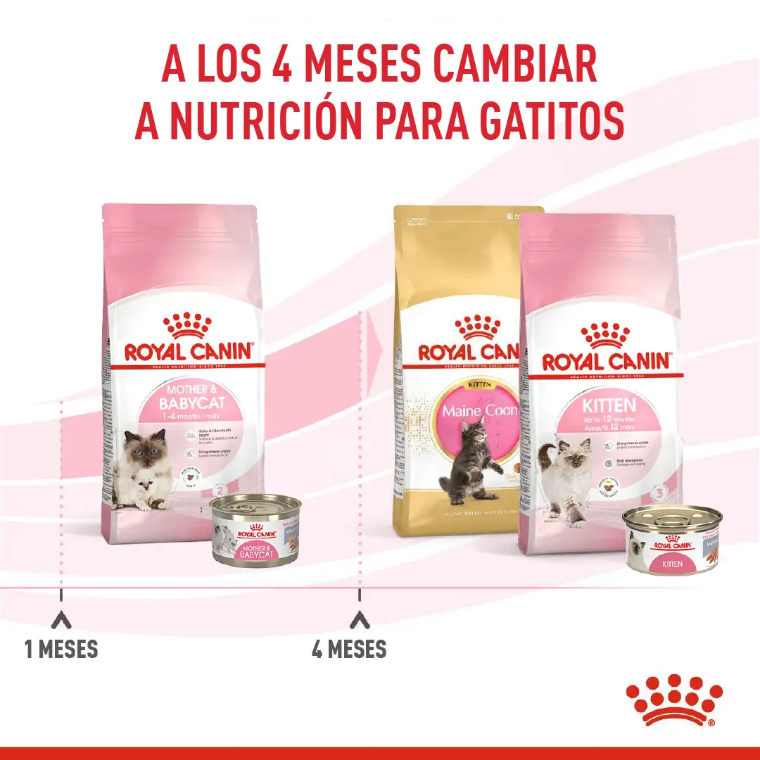 Comida Para Gato Royal Canin Fhn Mother&Babycat - Image 8