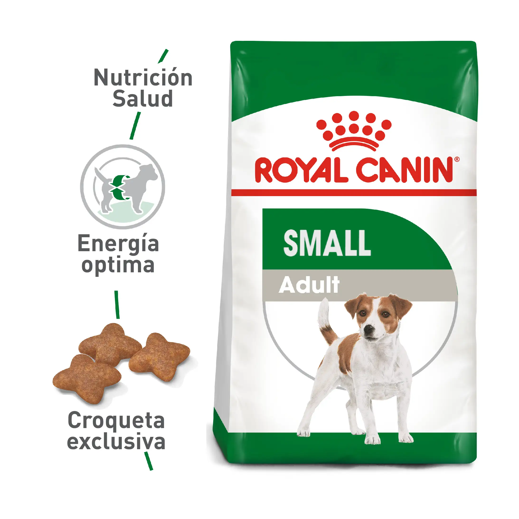 Comida Para Perro Royal Canin Shn Mini Adulto