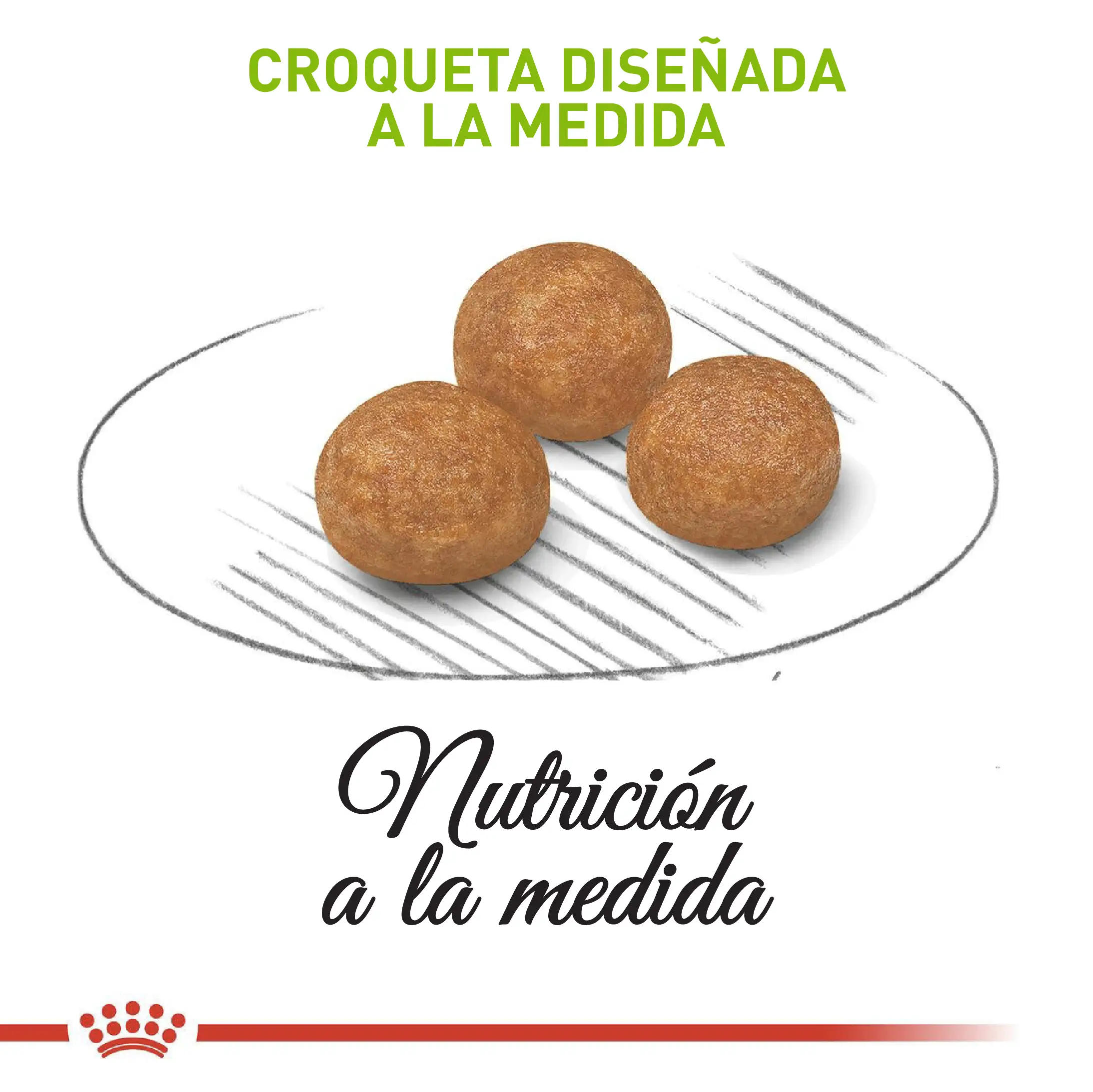Comida Para Perro Royal Canin Shn X-Small Adulto - Image 4