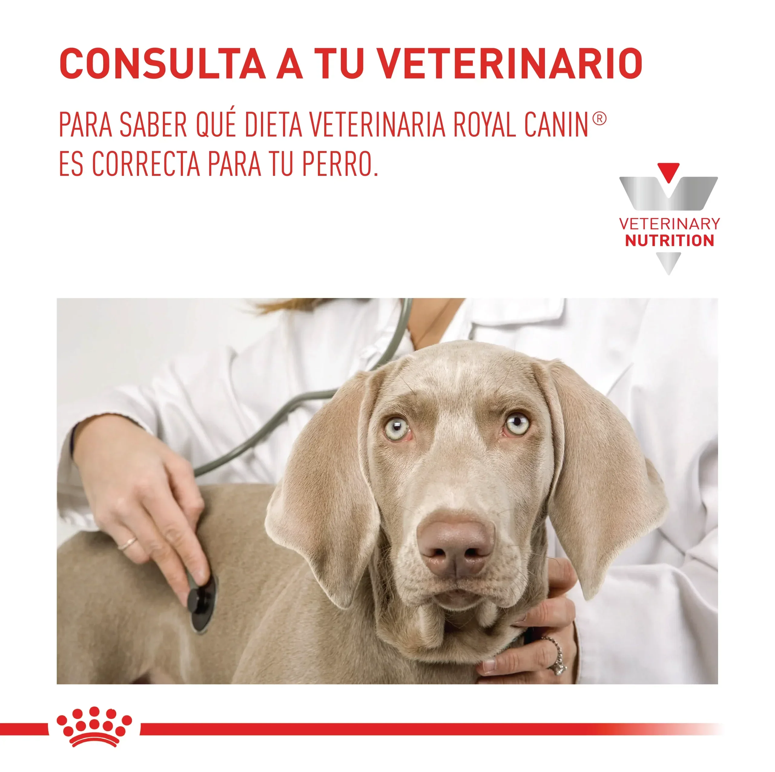 Comida Para Perro Royal Canin Vhn Hepatic - Image 7