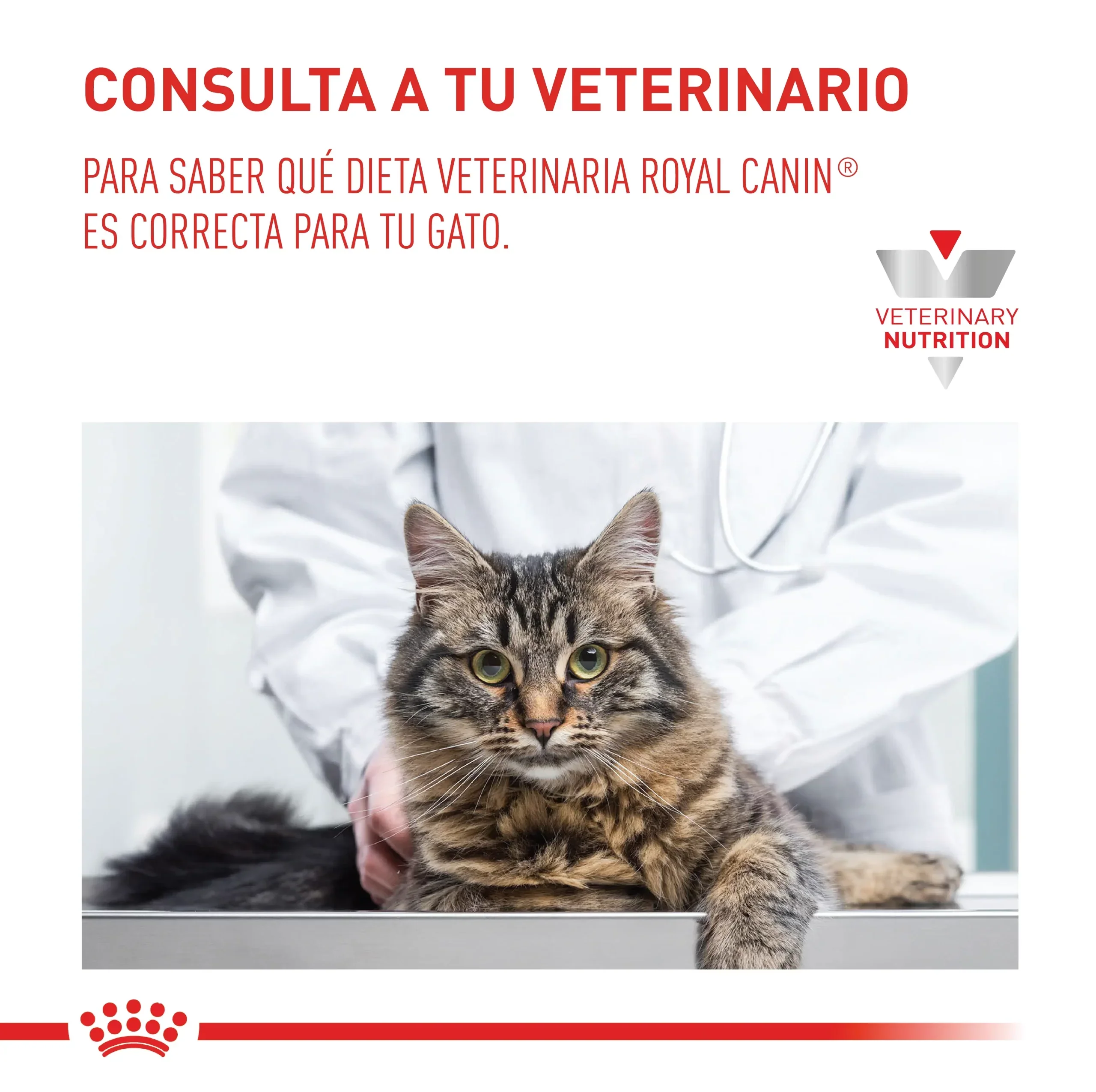 Comida Para Gato Royal Canin Vhn Hepatic 2 Kg - Image 7
