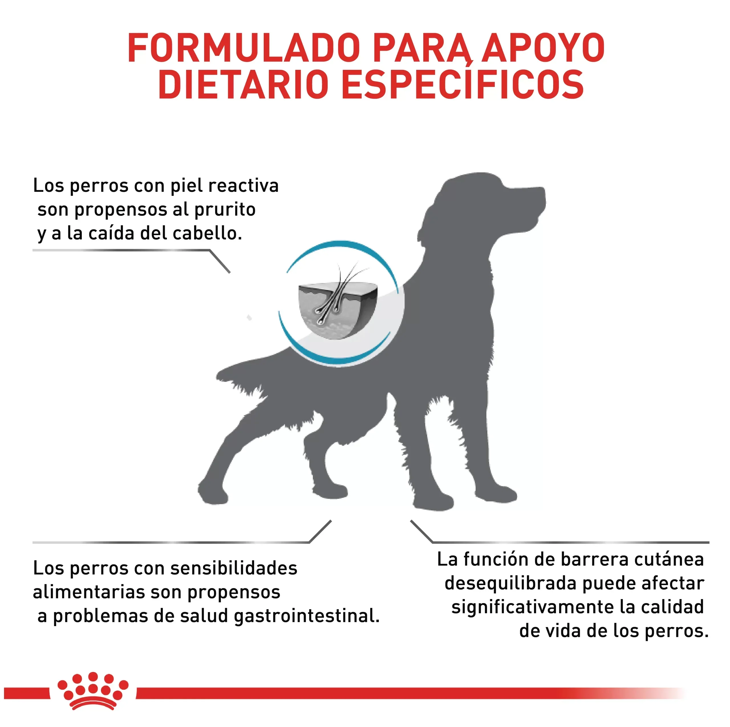 Comida Para Perro Royal Canin Vhn Skin Care 2Kg - Image 2