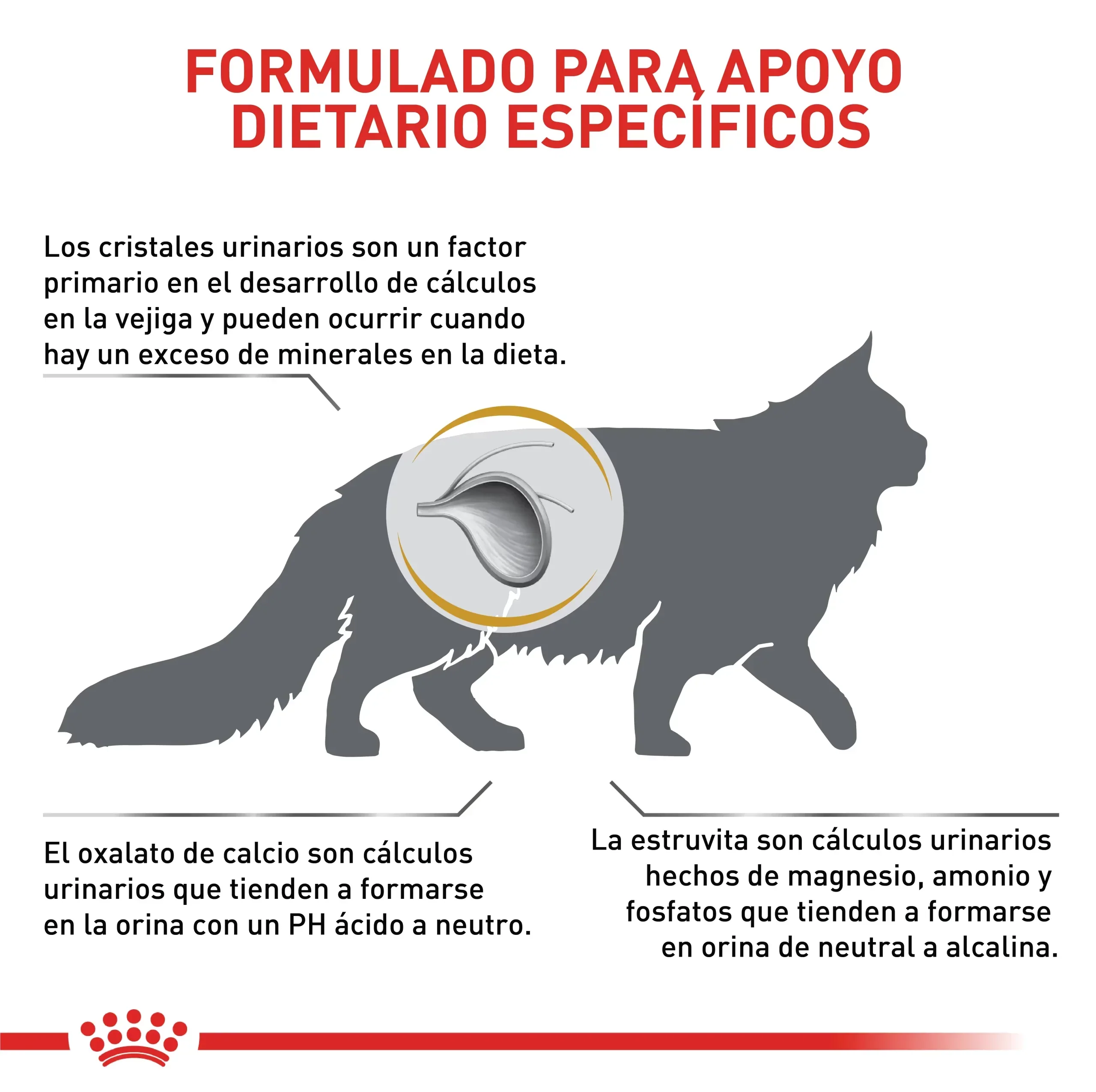 Comida Para Gato Royal Canin Vhn Urinary S/O 3.5Kg - Image 4