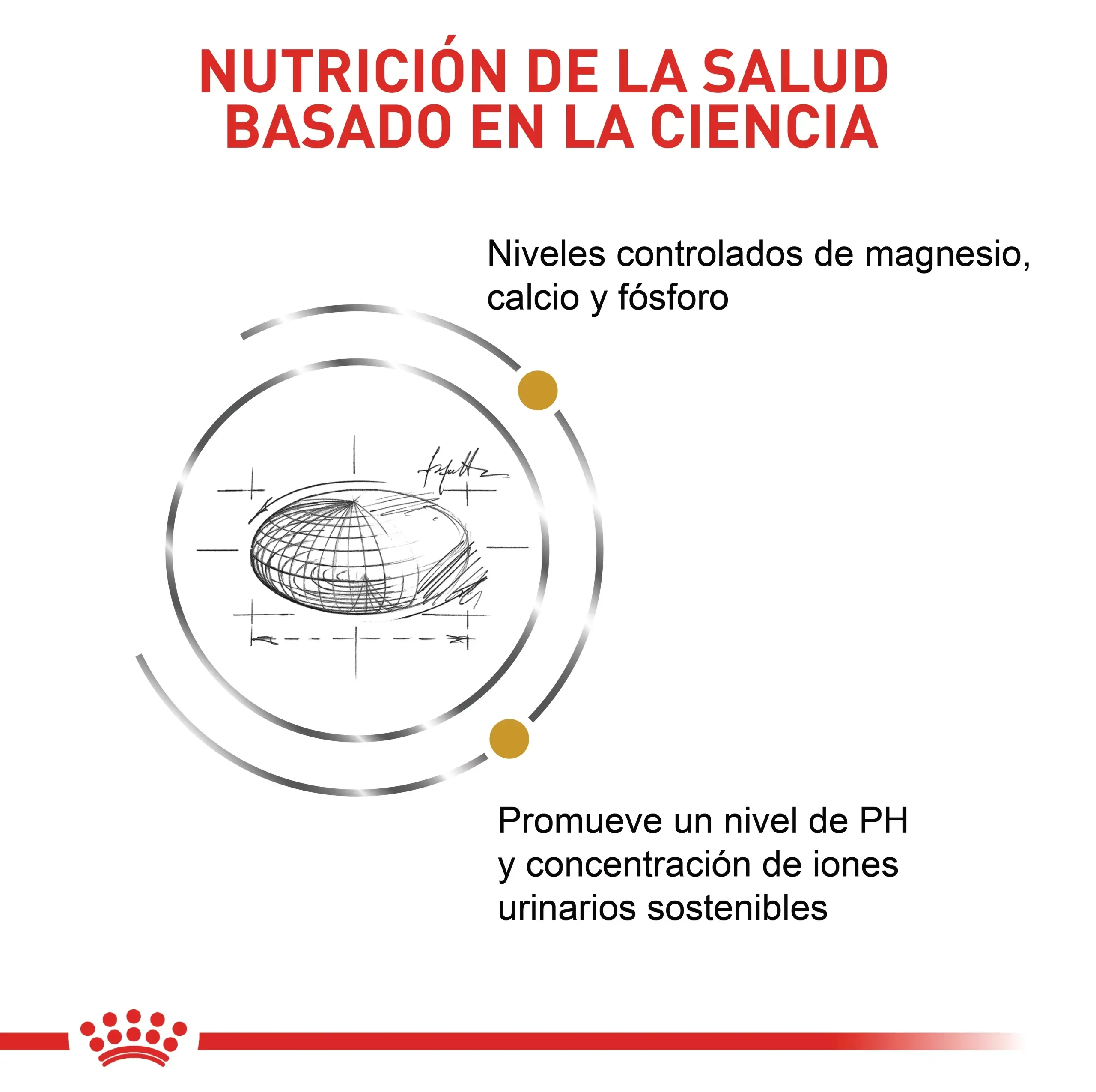 Comida Para Gato Royal Canin Vhn Urinary S/O 3.5Kg - Image 5