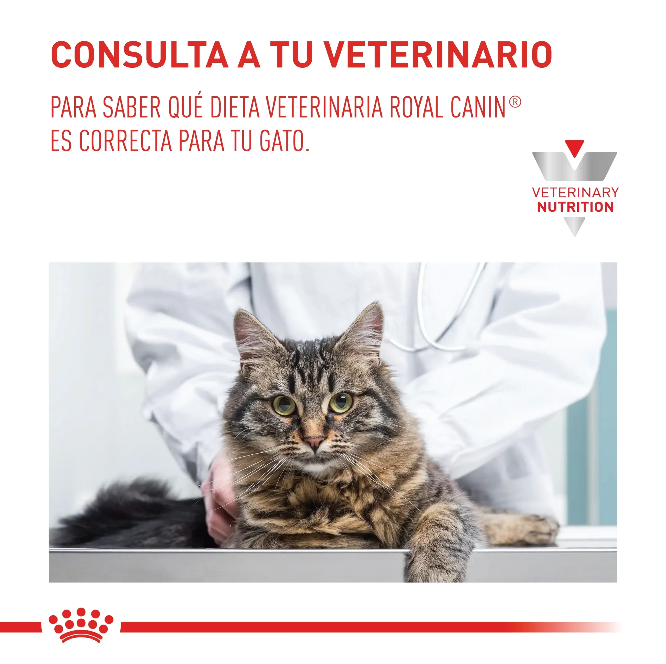 Comida Para Gato Royal Canin Vhn Urinary S/O 3.5Kg - Image 9