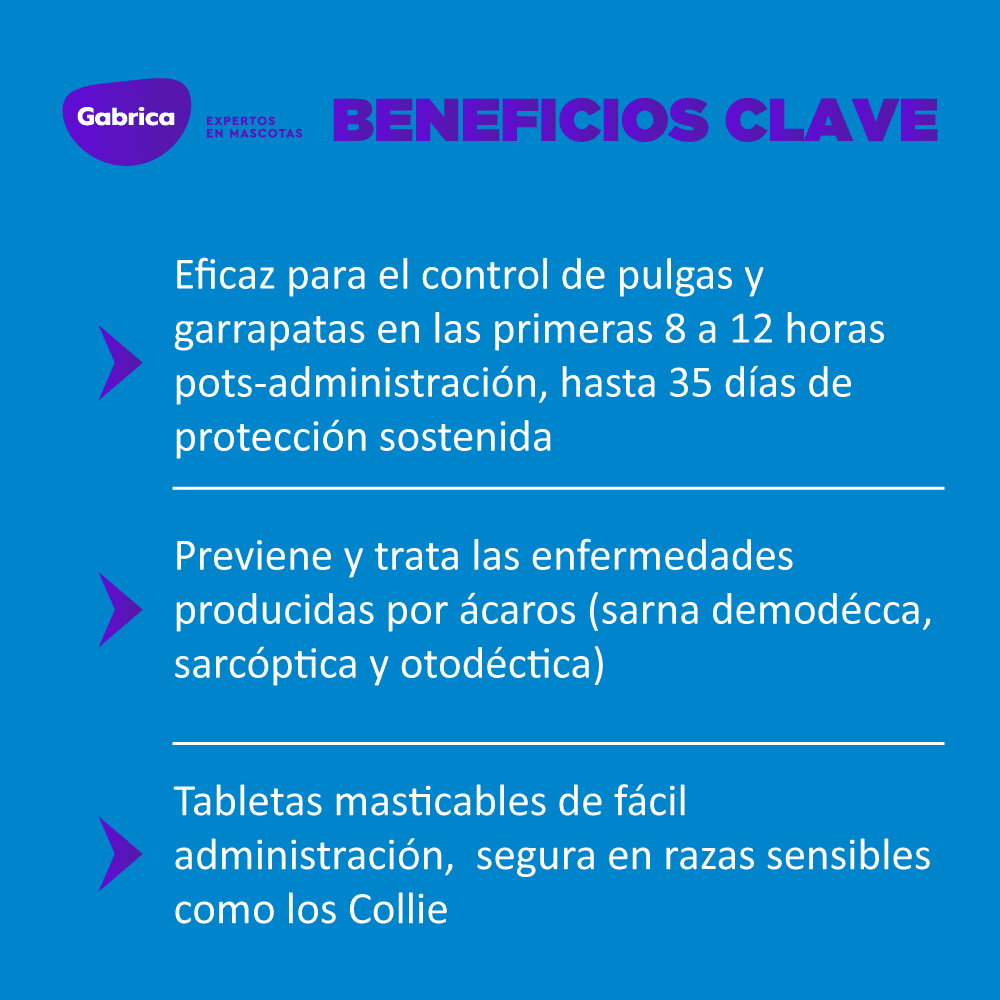Antiparásitario Externo Para Perro Simparica Caja 1 Tableta - Image 6