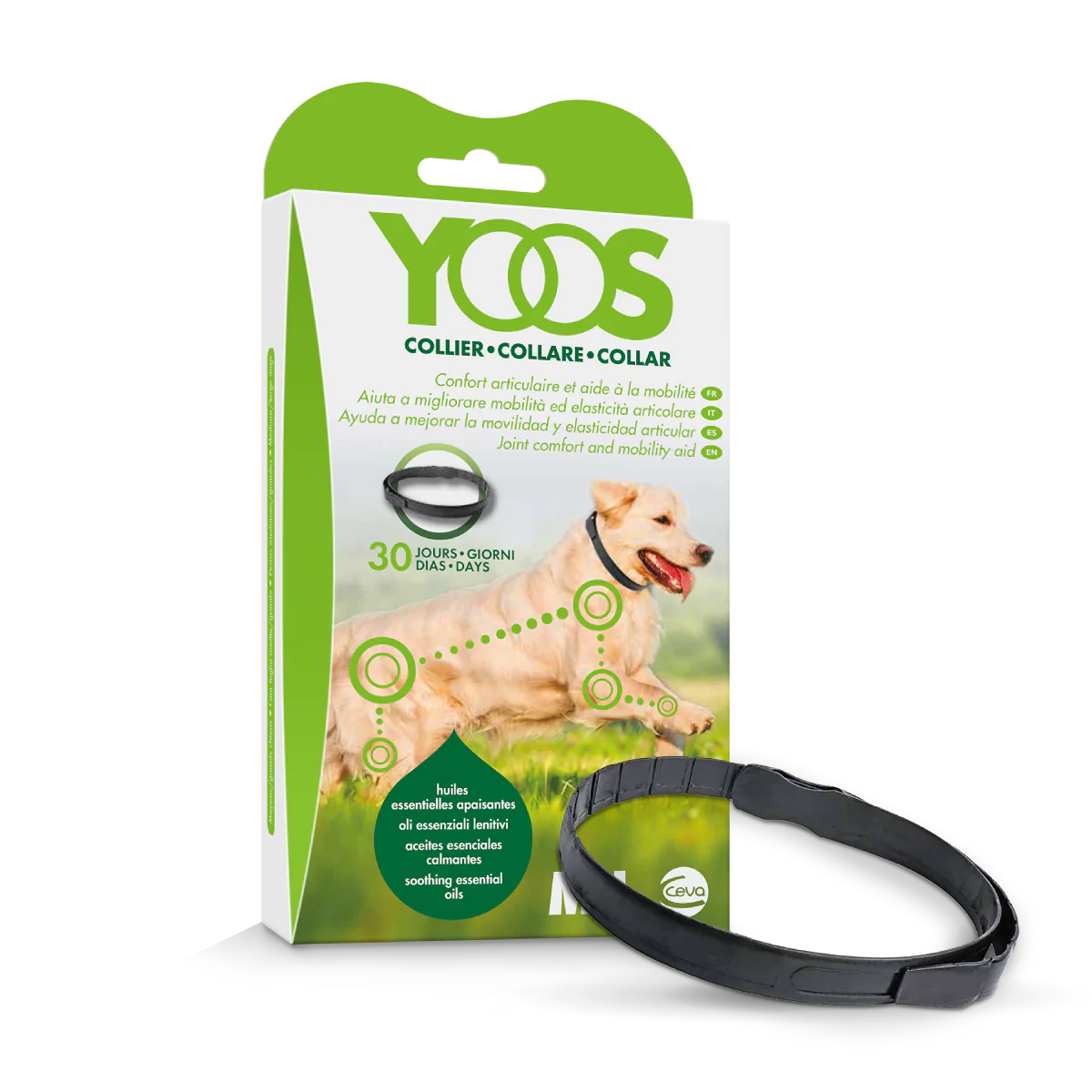 Collar Yoos perros - Image 2