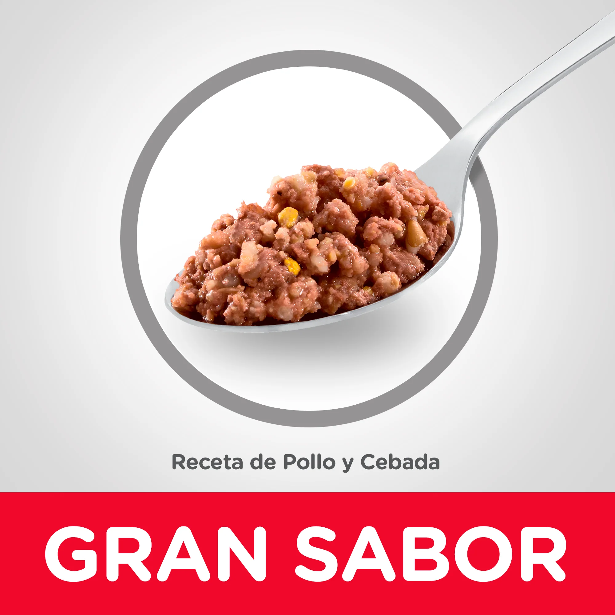 Hill's Science Diet Adult alimento húmedo para perro adulto sabor pollo 13 Oz (369g) - Image 4