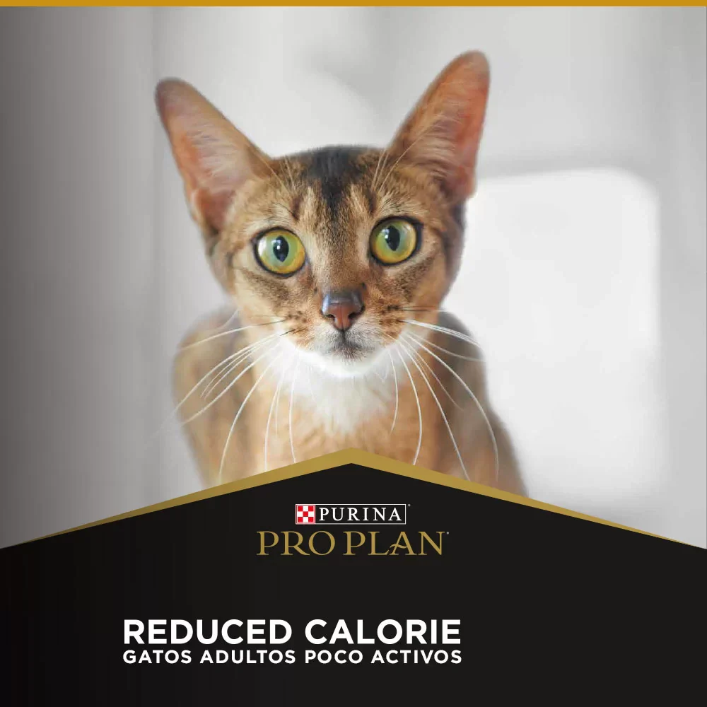 Comida Para Para Gatos Adultos Poco Activos O Con Exceso De Peso Purina Pro Plan X 3 Kg - Image 3