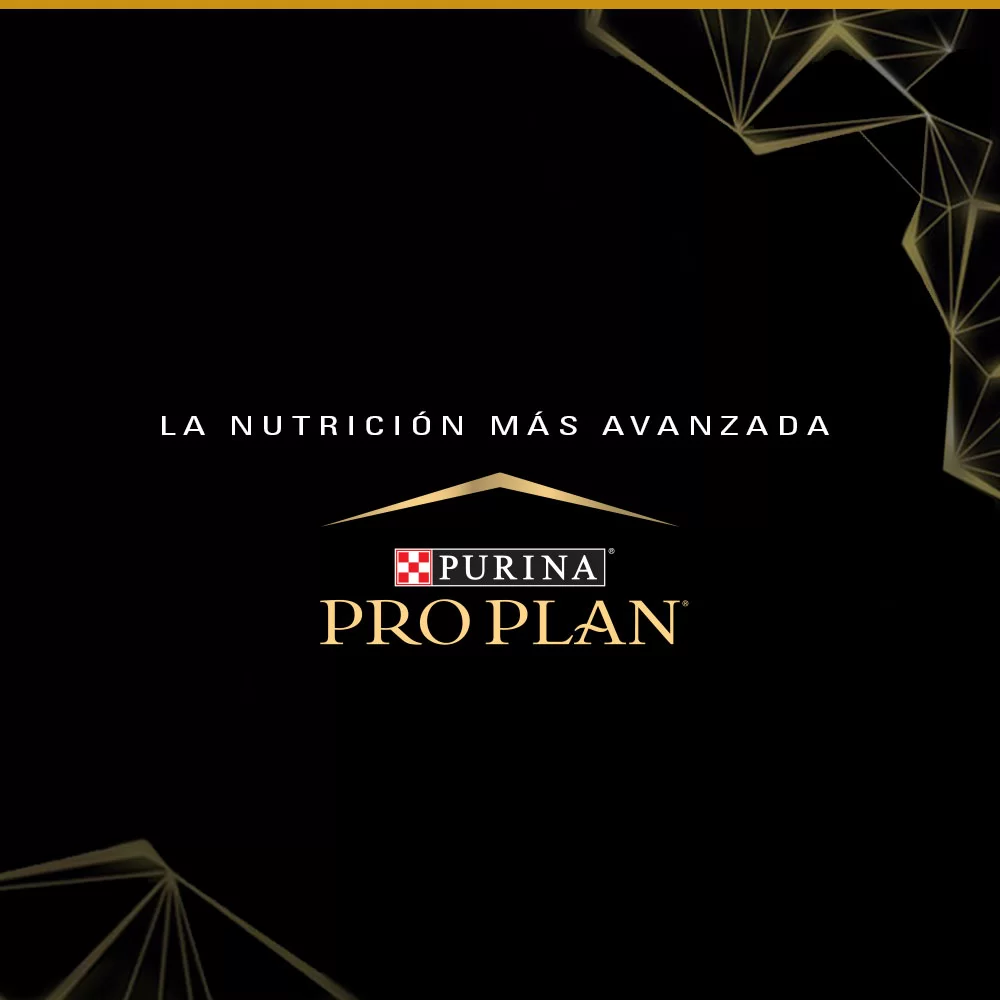 Comida Para Para Gatos Adultos Poco Activos O Con Exceso De Peso Purina Pro Plan X 3 Kg - Image 8