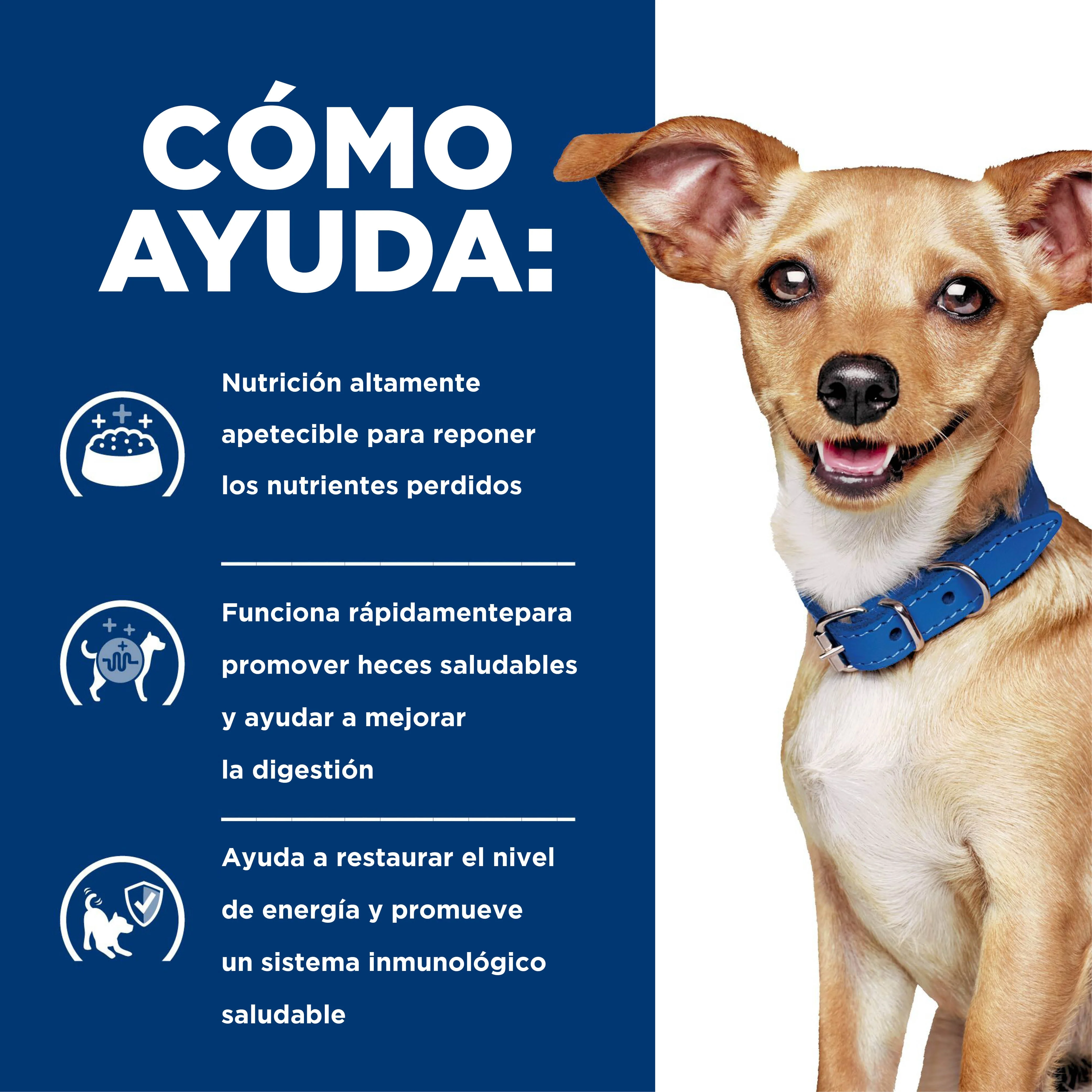 Hill's Prescription Diet i/d Concentrado para perro Raza Pequeña Cuidado Digestivo 3,5 Lb (1,58kg) - Image 4