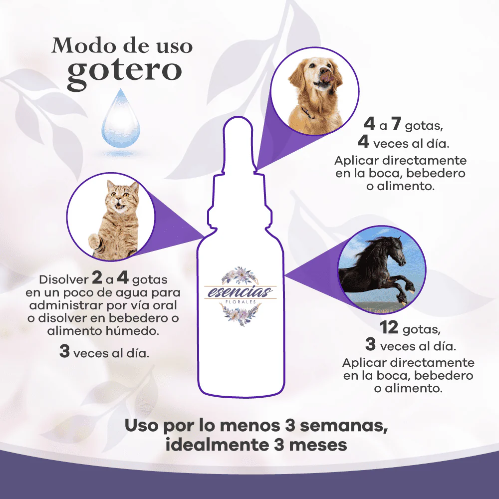 Esencia floral Stress Gotas 30 ml - Image 3