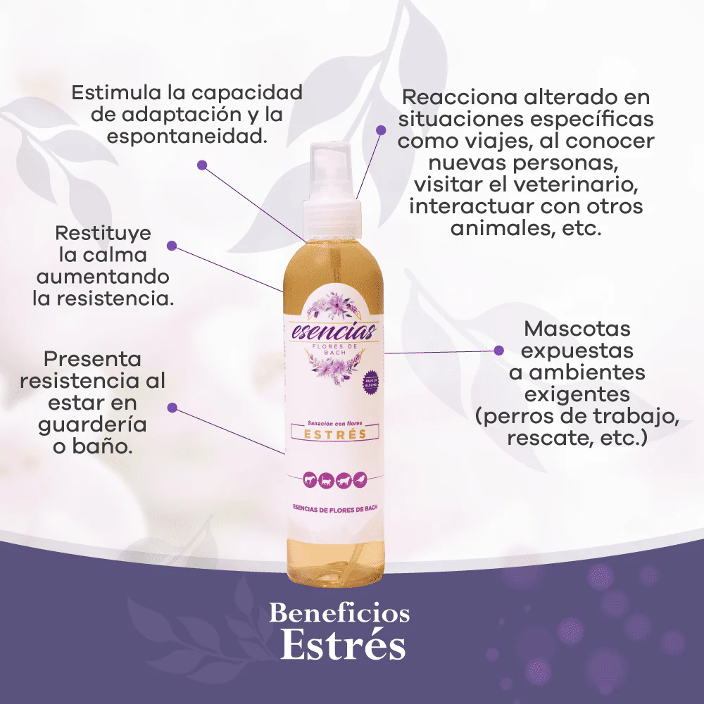 Esencia floral Stress Gotas 30 ml - Image 7