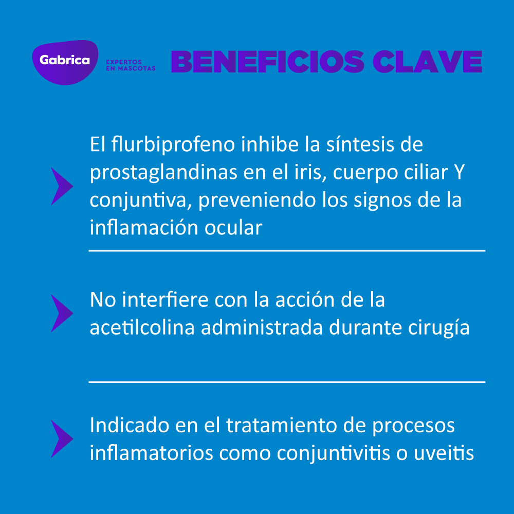 Flurbiprofeno Gotas Perros y Gatos 5ml - Image 5