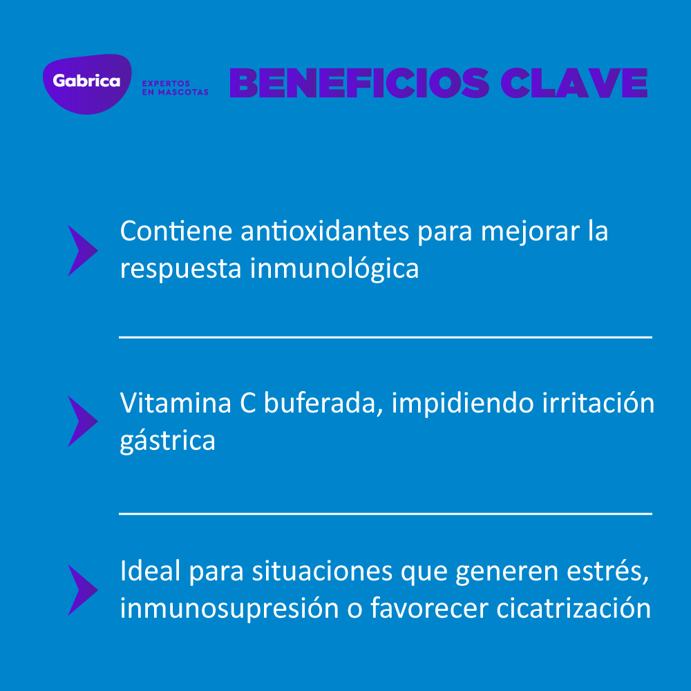 Suplemento Vita-Vet C para Perros y Gatos 30ML - Image 4